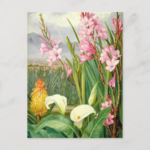 Botanische kunst: Schoonheden van het moeras Briefkaart