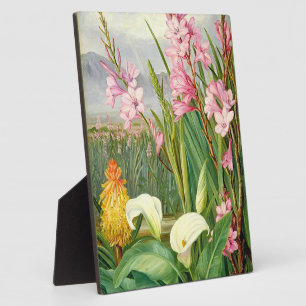 Botanische kunst: Schoonheden van het moeras Fotoplaat