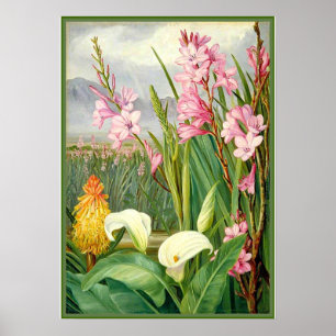 Botanische kunst: Schoonheden van het moeras Poster