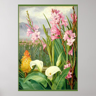Botanische kunst: Schoonheden van het moeras Poster