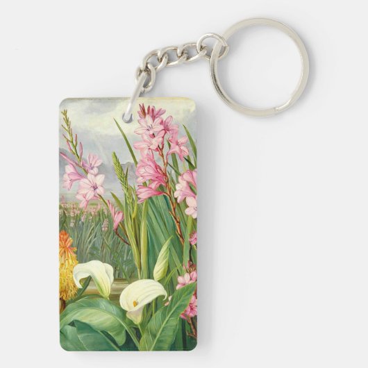 Botanische kunst: Schoonheden van het moeras Sleutelhanger (achterkant)