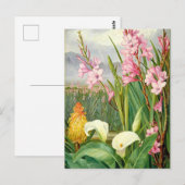 Botanische kunst: Schoonheid van de moeras Briefkaart (Voorkant / Achterkant)