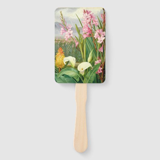 Botanische kunst: Schoonheid van de moeras Handwaaier (Voorkant)