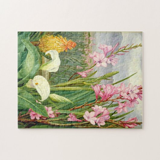 Botanische kunst: Schoonheid van de moeras Legpuzzel (Horizontaal)