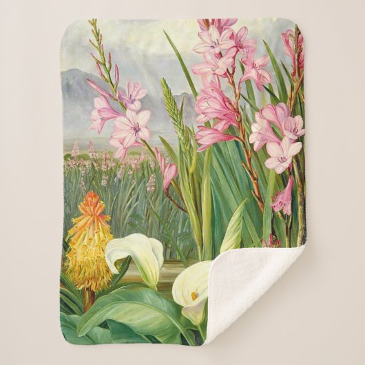 Botanische kunst: Schoonheid van de moeras Sherpa Deken (Voorkant)