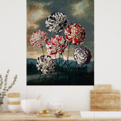 Botanische kunst tempel van flora anjers poster (Keuken)