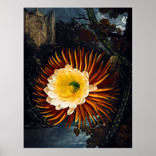 Botanische kunst tempel van Flora nacht blazen Cer Poster