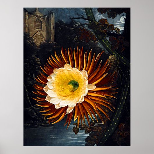 Botanische kunst tempel van Flora nacht blazen Cer Poster (Voorkant)