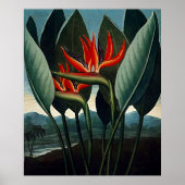 Botanische kunst van de vogel van het paradijs poster (Voorkant)