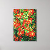 Botanische kunst: Verbrandende Struik en Emu Wren  Canvas Afdruk (Voorkant)