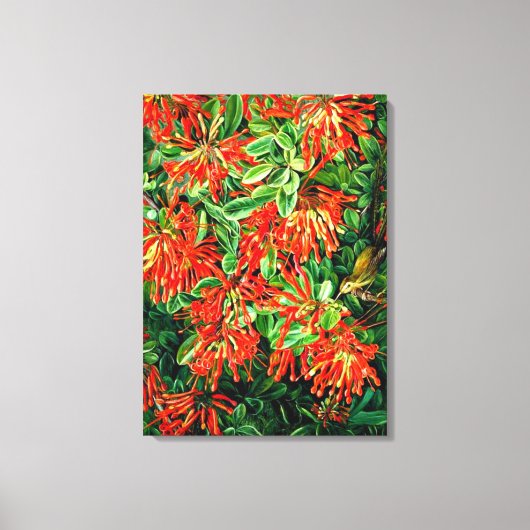 Botanische kunst: Verbrandende Struik en Emu Wren  Canvas Afdruk (Voorkant)