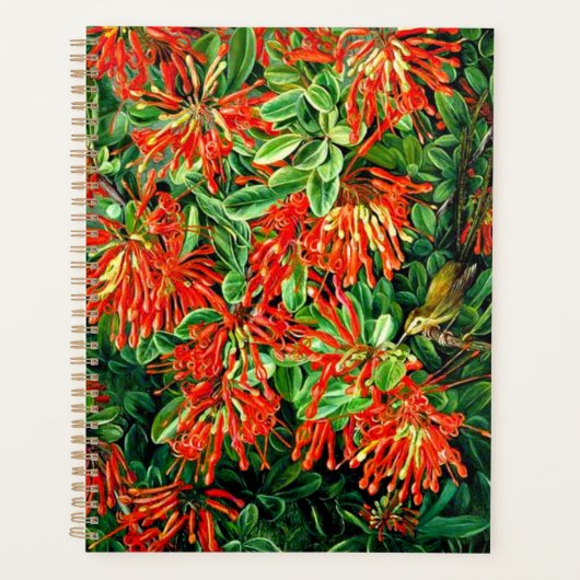 Botanische kunst: Verbrandende Struik en Emu Wren Planner (Voorkant)