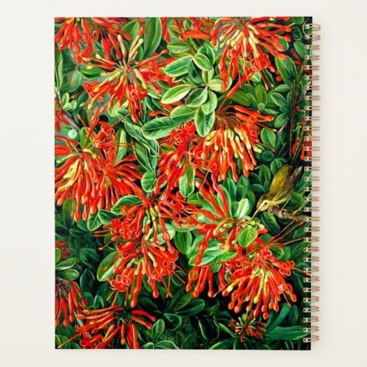 Botanische kunst: Verbrandende Struik en Emu Wren  Planner (Achterkant)