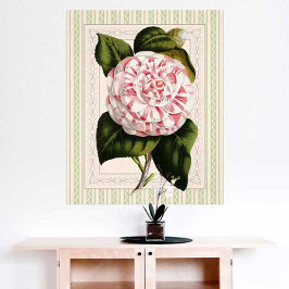 Botanische kunst Vintage Camellia opvallend ontwer Poster
