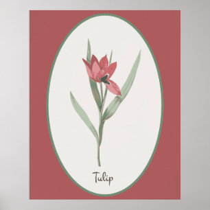 botanische kunstbloem poster