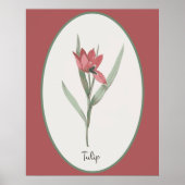 botanische kunstbloem poster (Voorkant)