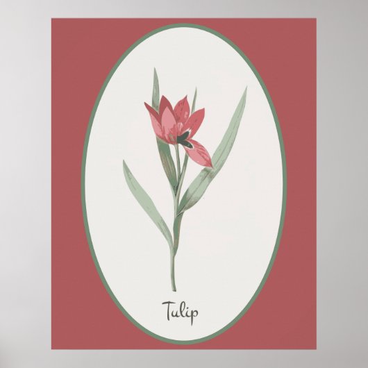 botanische kunstbloem poster (Voorkant)