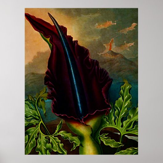 Botanische kunsttempel van Flora Dragon Plant Poster (Voorkant)