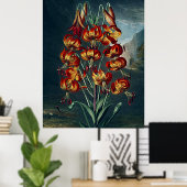 Botanische kunsttempel van Flora Superb Lily Poster (Thuiskantoor)