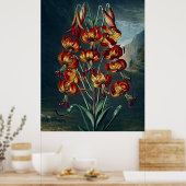 Botanische kunsttempel van Flora Superb Lily Poster (Keuken)