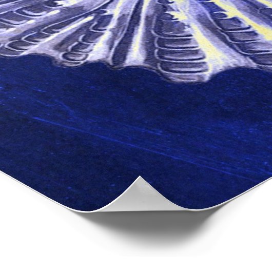  botanische kuststrook Blauwe zeebodem Poster (Hoek)