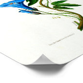  Botanische La Celestine Flore D Amerique Poster (Hoek)