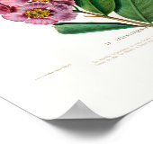  botanische Le Lagerstroemia Regina Poster (Hoek)