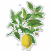 Botanische Lemon Afdruk Sticker (Voorkant)
