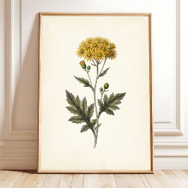 Botanische Ligularia Cottagecore Muurkunst Poster