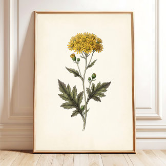 Botanische Ligularia Cottagecore Muurkunst Poster
