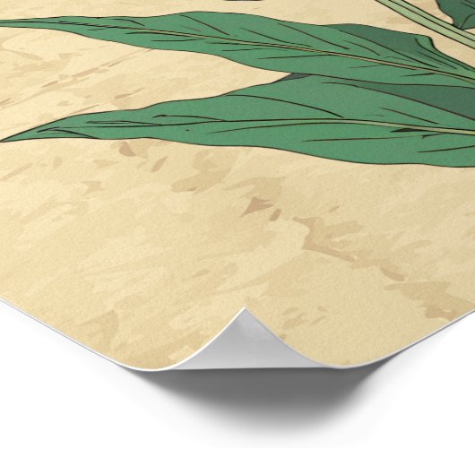  botanische lijn tekening muur kunst poster (Hoek)