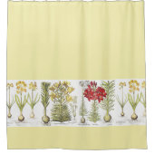  botanische Lily Narcissus Flowers Floral Douchegordijn (Voorkant)