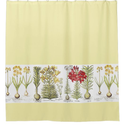  botanische Lily Narcissus Flowers Floral Douchegordijn (Voorkant)