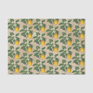  botanische limoenbloem, bloesem, beige Kraft Tissuepapier