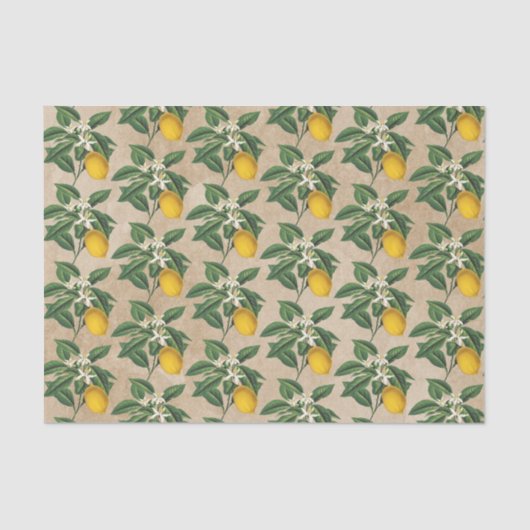  botanische limoenbloem, bloesem, beige Kraft Tissuepapier (Voorkant)