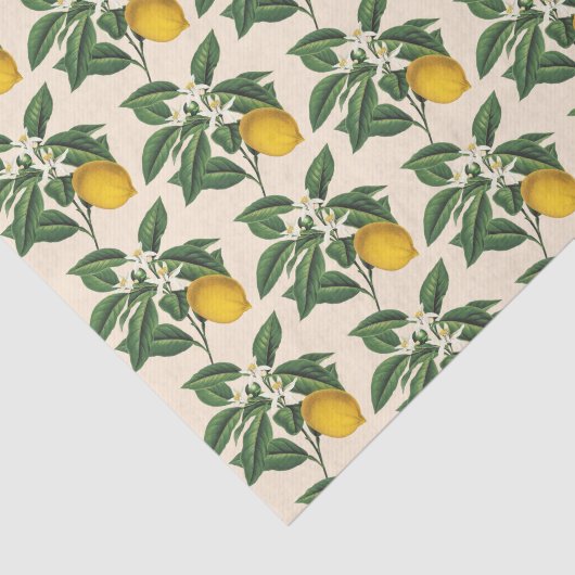 botanische limoenbloesem-beige tissuepapier (Detail)