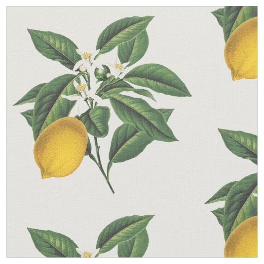  botanische losbloem stof (Close Up)