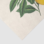  botanische losbloem tissuepapier (Detail)