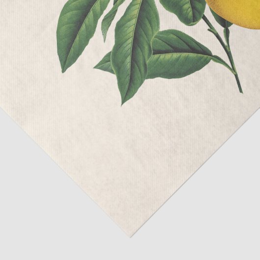 botanische losbloem tissuepapier (Detail)