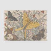 Botanische Luna Vlinderontkoppeling Tissuepapier (Voorkant)