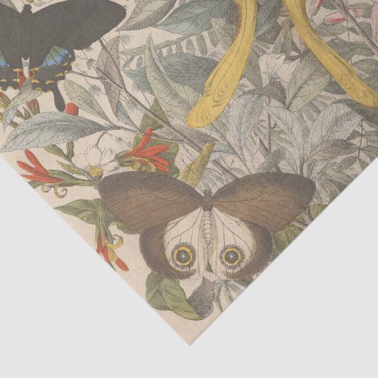 Botanische Luna Vlinderontkoppeling Tissuepapier (Detail)