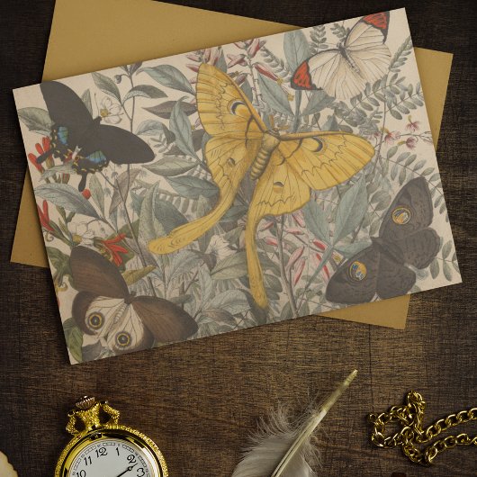 Botanische Luna Vlinderontkoppeling Tissuepapier