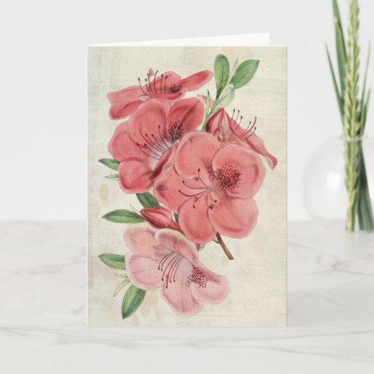 botanische Magnet Azalea Kaart (Voorkant)