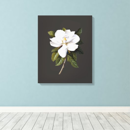 botanische Magnolia Grandiflora Canvas Afdruk (Insitu (Houten vloer))