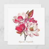  botanische Magnolia Pink White Flowers (Voorkant / Achterkant)