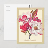  botanische Magnolia Pink White Flowers Briefkaart (Voorkant / Achterkant)