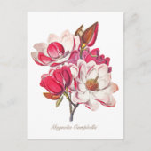 botanische Magnolia Pink White Flowers Briefkaart (Voorkant)