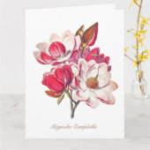  botanische Magnolia Pink White Flowers Kaart (Gele Bloem)
