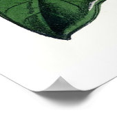 botanische Magnolia Poster (Hoek)