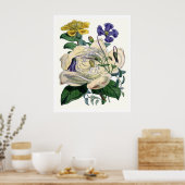 botanische Magnolia Poster (Keuken)